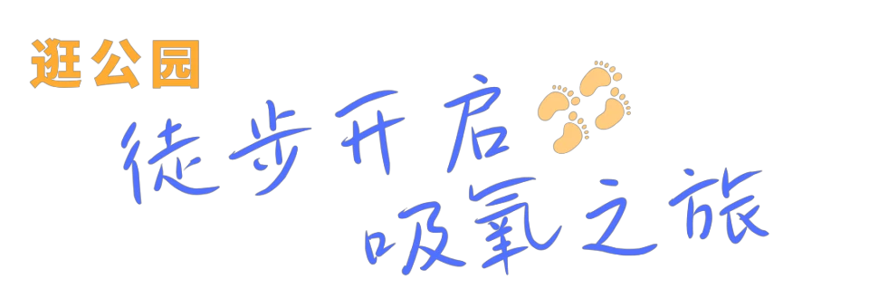 如何制定智能篮球训练计划_2