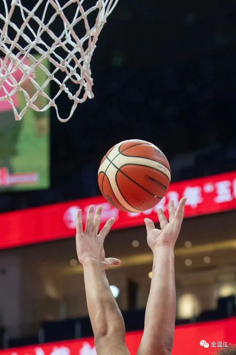 如何制定适合篮球主力的个性化训练方案_1